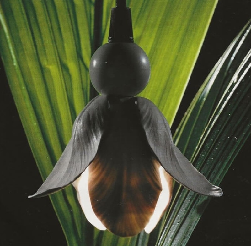 Mangani - Lampada